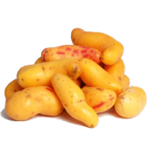 Papa Olluco (Asmarua)